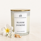 Bloom Jasmine